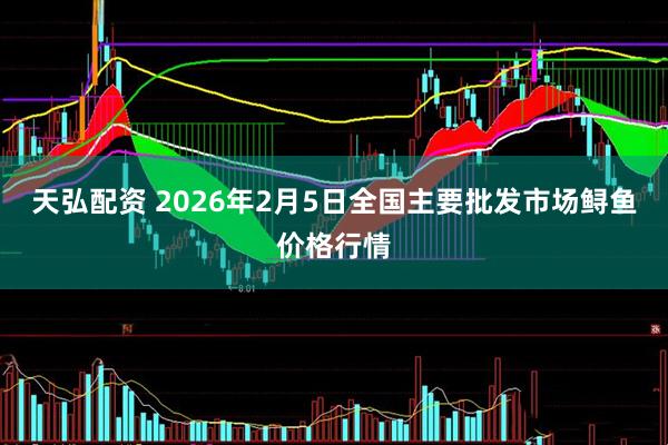 天弘配资 2026年2月5日全国主要批发市场鲟鱼价格行情