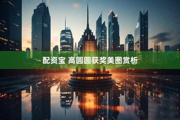 配资宝 高圆圆获奖美图赏析
