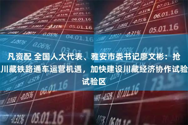 凡资配 全国人大代表、雅安市委书记廖文彬：抢抓川藏铁路通车运营机遇，加快建设川藏经济协作试验区