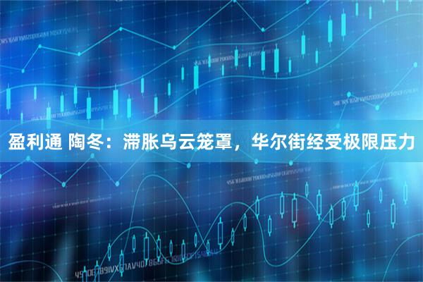 盈利通 陶冬：滞胀乌云笼罩，华尔街经受极限压力