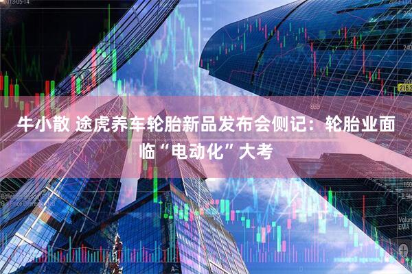 牛小散 途虎养车轮胎新品发布会侧记：轮胎业面临“电动化”大考