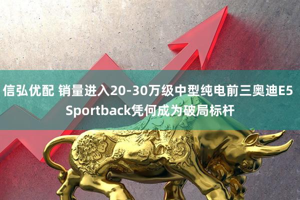 信弘优配 销量进入20-30万级中型纯电前三奥迪E5 Sportback凭何成为破局标杆