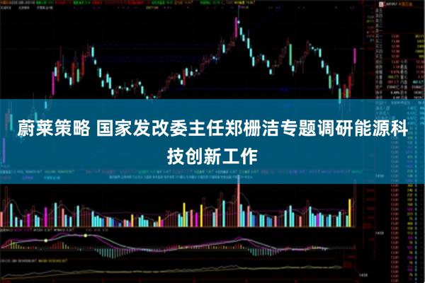 蔚莱策略 国家发改委主任郑栅洁专题调研能源科技创新工作