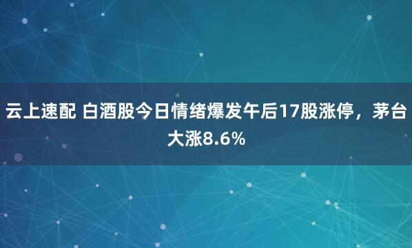 云上速配 白酒股今日情绪爆发午后17股涨停，茅台大涨8.6%