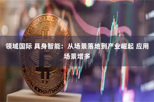 领域国际 具身智能：从场景落地到产业崛起 应用场景增多