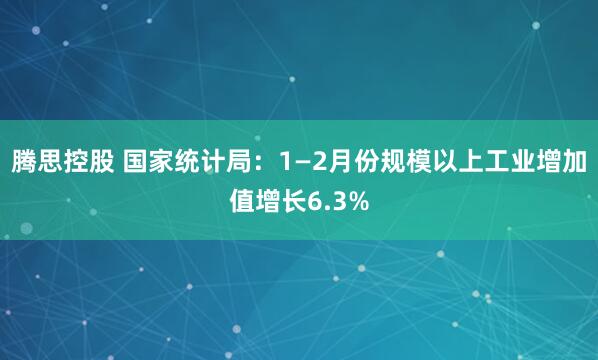 腾思控股 国家统计局：1—2月份规模以上工业增加值增长6.3%