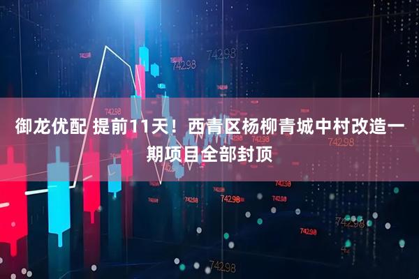 御龙优配 提前11天！西青区杨柳青城中村改造一期项目全部封顶