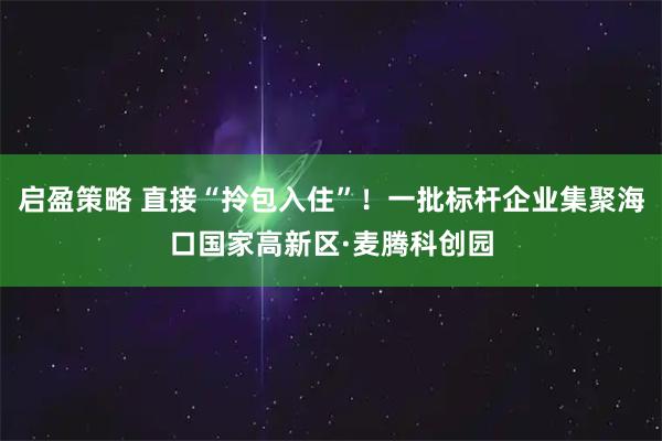启盈策略 直接“拎包入住”！一批标杆企业集聚海口国家高新区·麦腾科创园