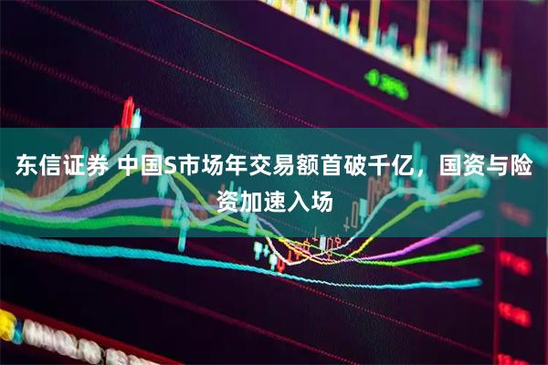 东信证券 中国S市场年交易额首破千亿，国资与险资加速入场